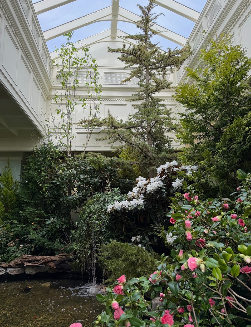 Preludio primaverile di Butchart Gardens:una straordinaria anteprima delle fioriture primaverili 