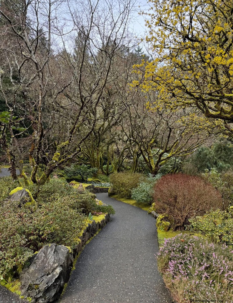 Verken de rustige Japanse tuin van Butchart Gardens 