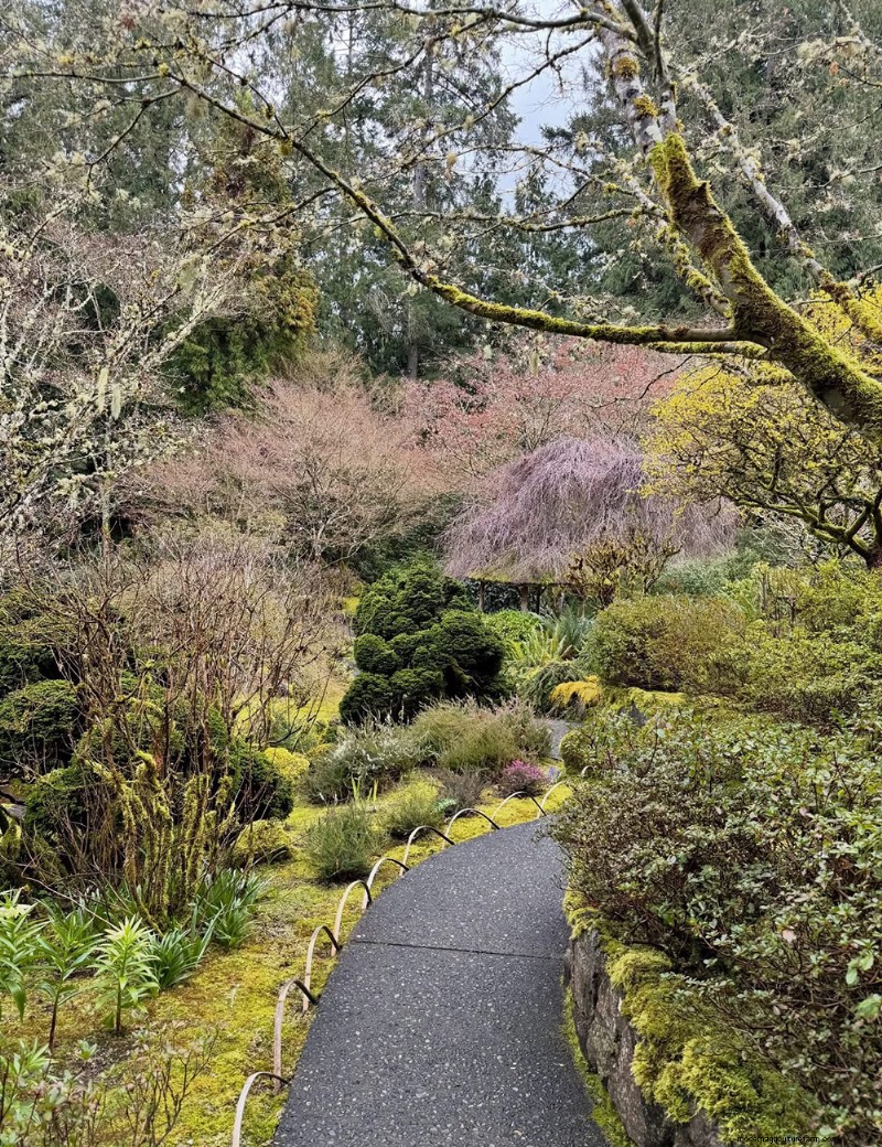 Verken de rustige Japanse tuin van Butchart Gardens 
