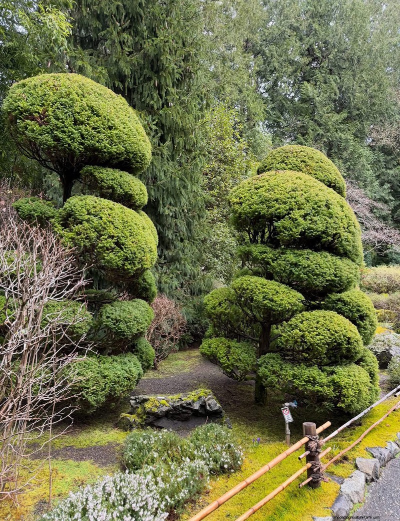 Verken de rustige Japanse tuin van Butchart Gardens 