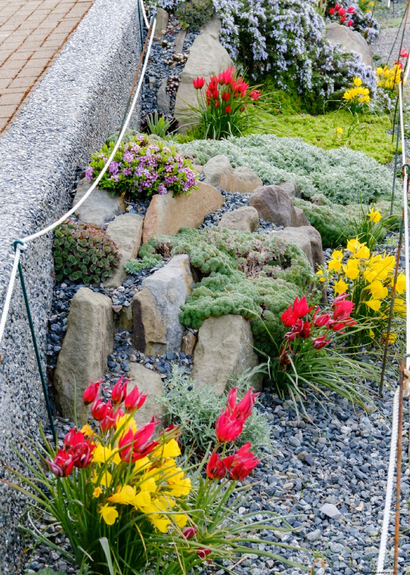 Coastal Crevice Garden Oasis:kaktusar, suckulenter och mer i Comox, BC 