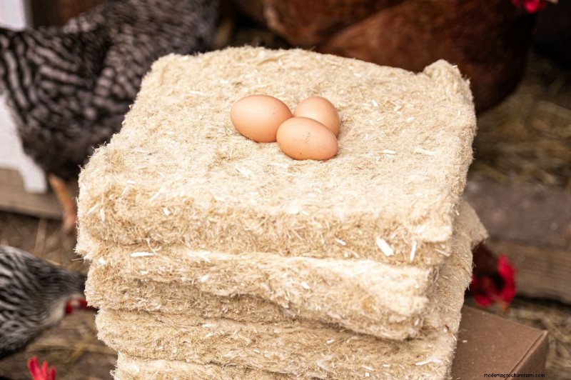 鶏用麻製巣パッド:鶏小屋をより清潔にし、卵の収集をより簡単に 