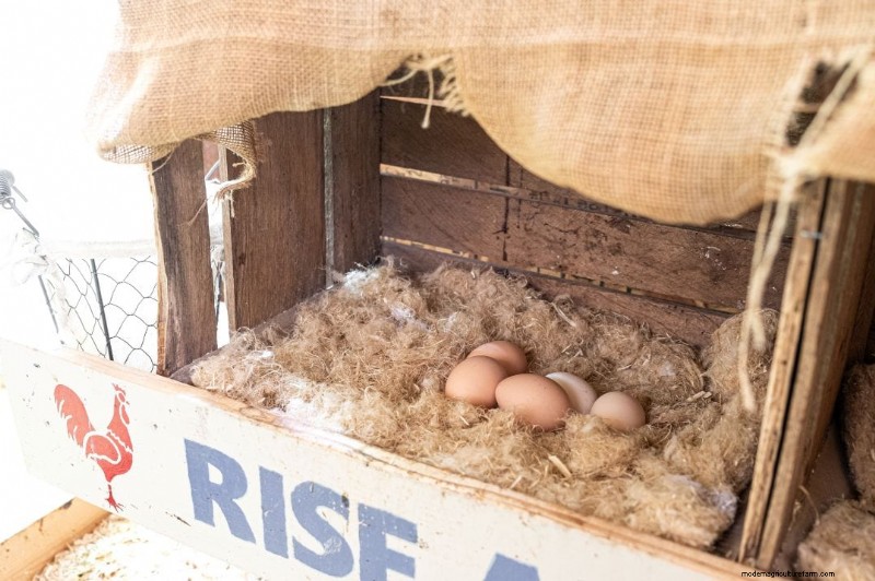 鶏用麻製巣パッド:鶏小屋をより清潔にし、卵の収集をより簡単に 