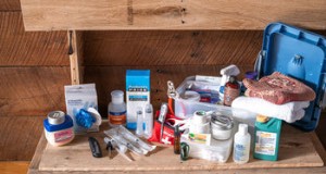Umfassendes Erste-Hilfe-Set für Hühner:Unverzichtbares Zubehör für die Gesundheit Ihrer Herde 