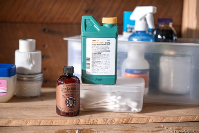 Kit completo di pronto soccorso per polli:forniture essenziali per la salute del gregge 