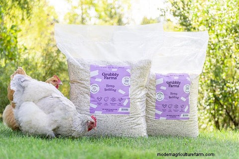 Lecho de cáñamo para gallinas:gallineros más sanos y pájaros más felices 