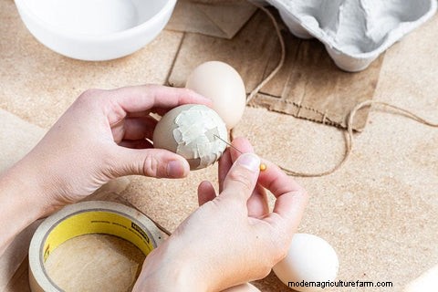 DIY 吹き卵:鶏の飼い主のための簡単な手作りチュートリアル 