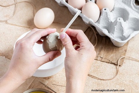 DIY 吹き卵:鶏の飼い主のための簡単な手作りチュートリアル 