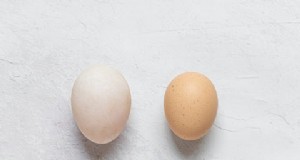 Huevos de pollo versus huevos de pato:guía de nutrición, sabor y cocina 