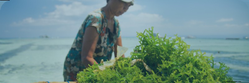 Duurzame zeevruchten:inzicht in de milieueffecten van aquacultuur 