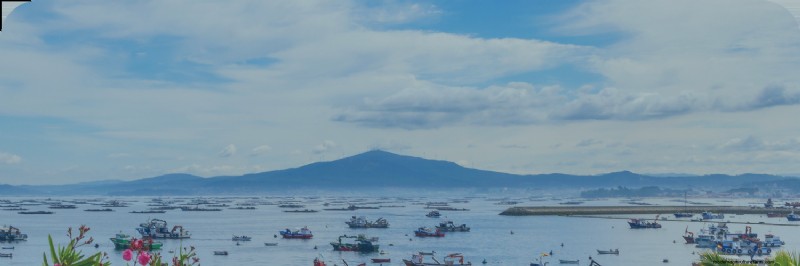 Duurzame zeevruchten:inzicht in de milieueffecten van aquacultuur 