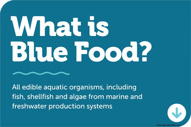 Gekweekte zeevruchten:een inleiding tot de aquacultuur - Global Seafood Alliance 