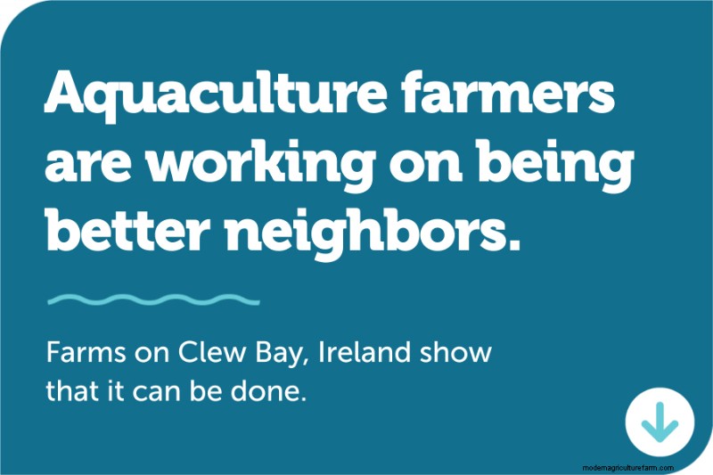 Gekweekte zeevruchten:een inleiding tot de aquacultuur - Global Seafood Alliance 