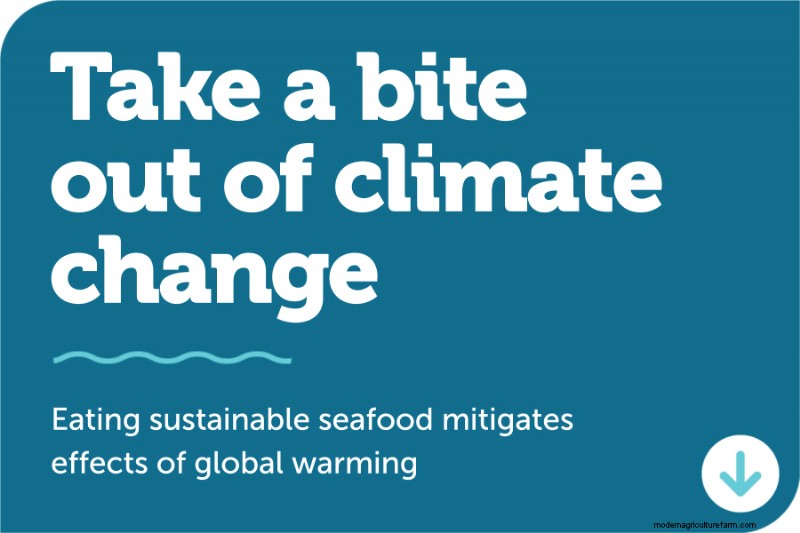 Gekweekte zeevruchten:een inleiding tot de aquacultuur - Global Seafood Alliance 