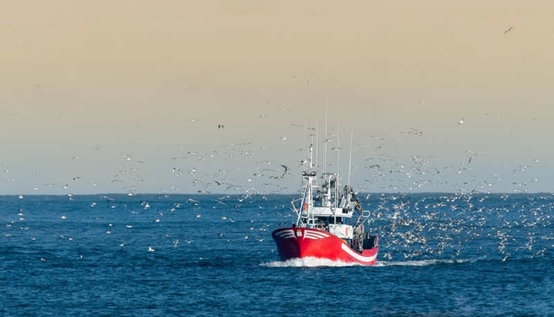Verantwoorde aquacultuur:bescherming van de oceanen en het bereiken van duurzame ontwikkeling