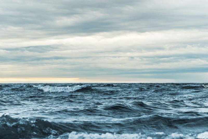 Verantwoorde aquacultuur:bescherming van de oceanen en het bereiken van duurzame ontwikkeling 