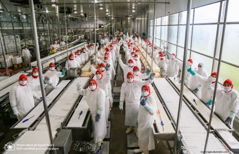 Aquacultuur:economische groei en duurzame ontwikkeling stimuleren 