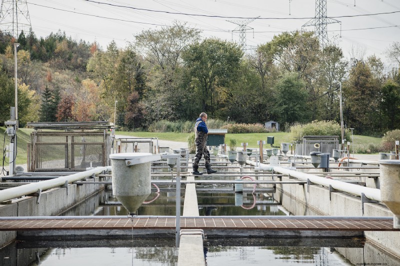Aquacultuur:economische groei en duurzame ontwikkeling stimuleren 