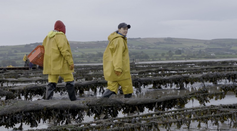 Aquacultuur:economische groei en duurzame ontwikkeling stimuleren 