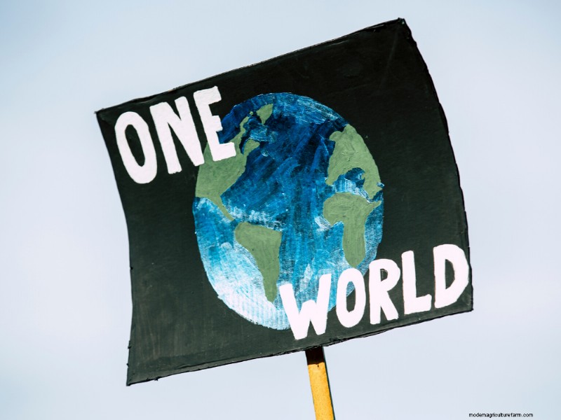 Gekweekte zeevruchten en klimaatactie:een duurzame oplossing 
