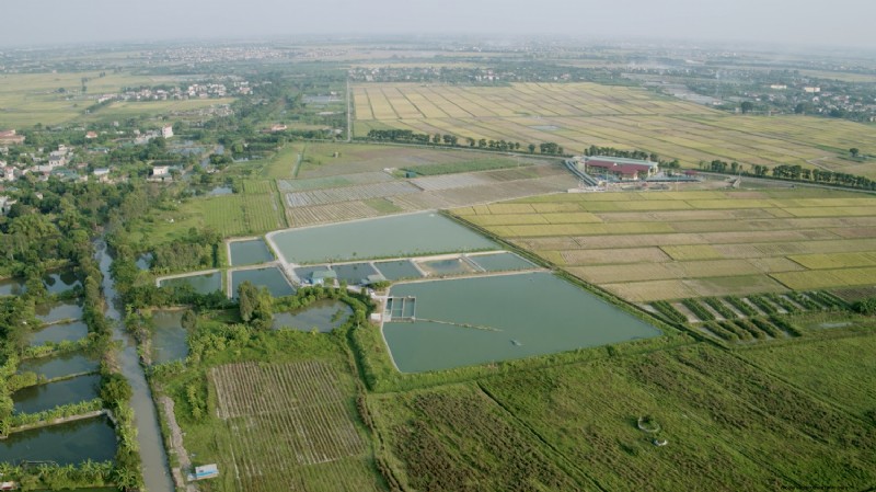 Leer In-Pond Raceway Systems (IPRS) voor de aquacultuur - online cursus 