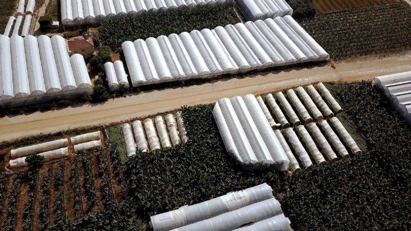 Stedelijke landbouw:voordelen voor duurzaamheid, economie en milieu 