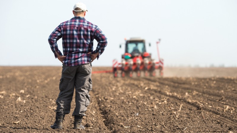 Een boerderij starten:een uitgebreide gids voor aspirant-boeren 