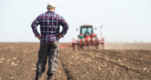 Eine Farm gründen:Ein umfassender Leitfaden für angehende Landwirte 