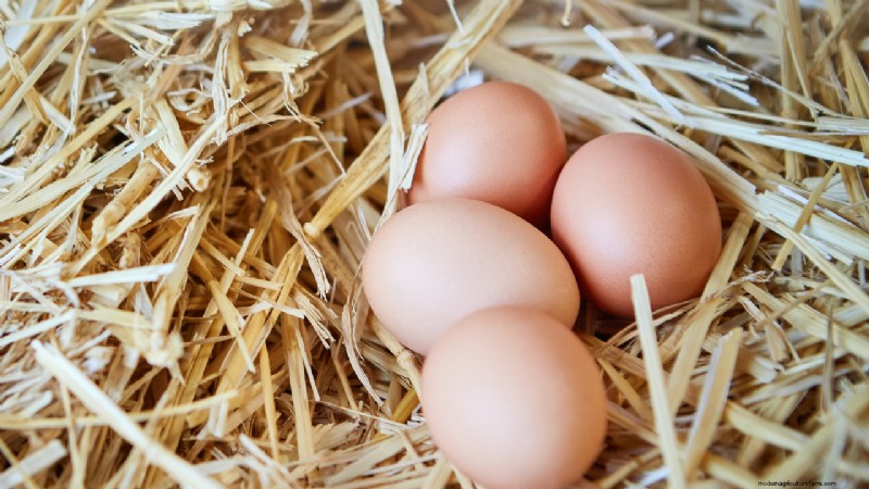 Een boerderij starten:een uitgebreide gids voor aspirant-boeren 