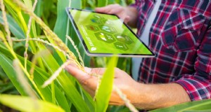 Le migliori app agricole:ottimizza le tue operazioni agricole nel 2024 