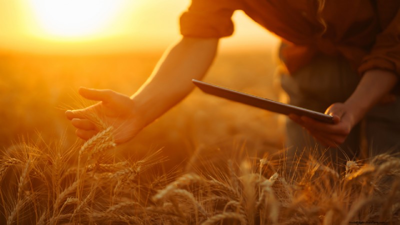 Topboerderij-apps:optimaliseer uw landbouwactiviteiten in 2024 
