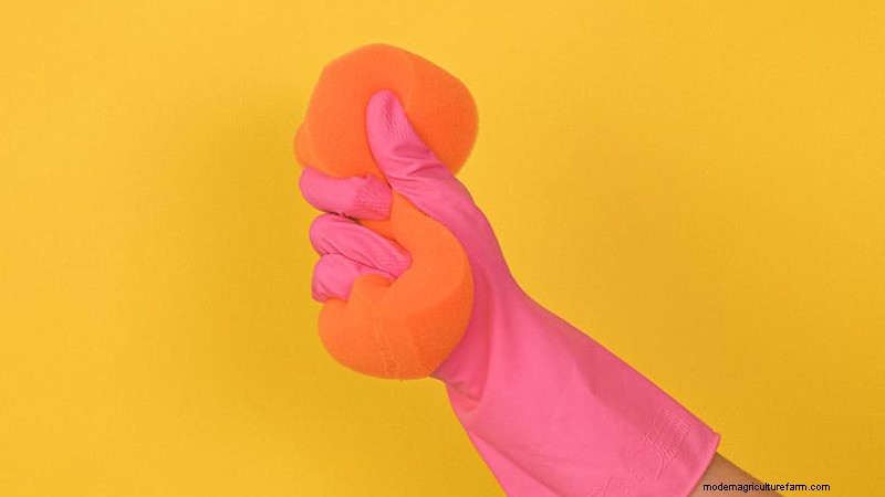 トラクターの塗装準備:包括的な清掃ガイド 