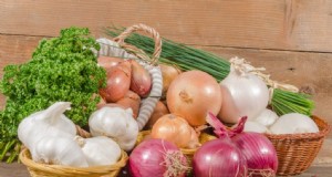 Knoblauch gewinnbringend anbauen:Ein umfassender Leitfaden für Anfänger 