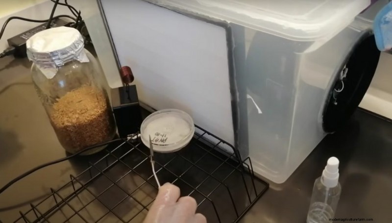 Cappa a flusso laminare fai-da-te per la coltivazione di funghi:una guida passo passo 