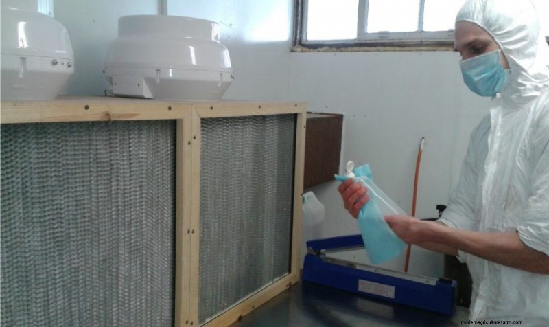 Een paddenstoelenlaboratorium ontwerpen:een uitgebreide gids voor telers 