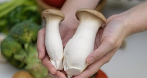 エリンギの成長ガイド:完全なステップバイステップ 