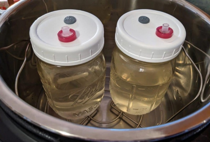 Coltura liquida di funghi:una guida completa per coltivare più funghi 