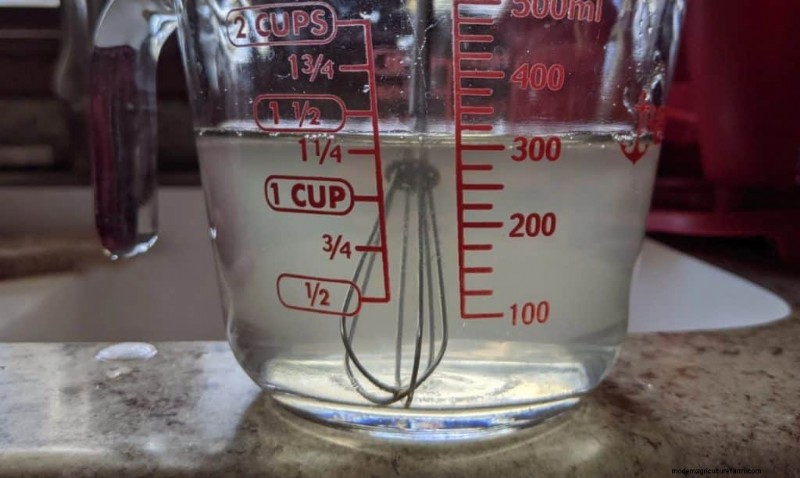 Coltura liquida di funghi:una guida completa per coltivare più funghi 