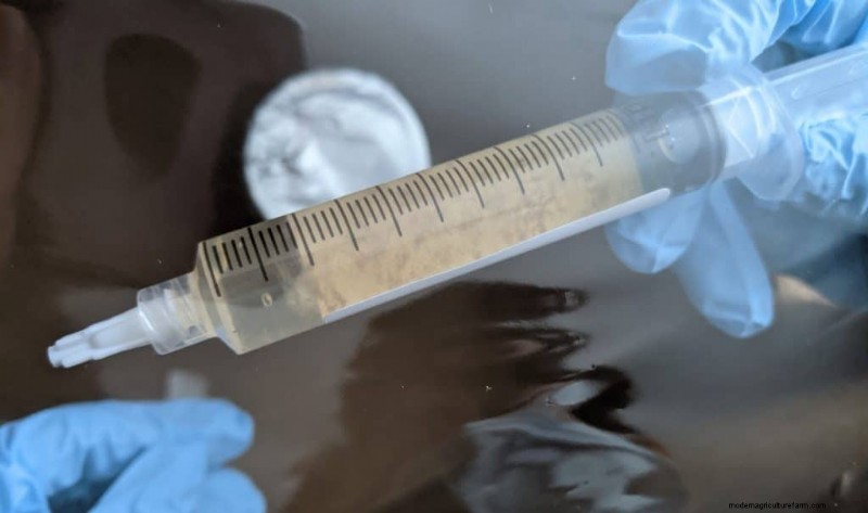 PF Tek:een beginnershandleiding voor het thuis kweken van paddenstoelen 