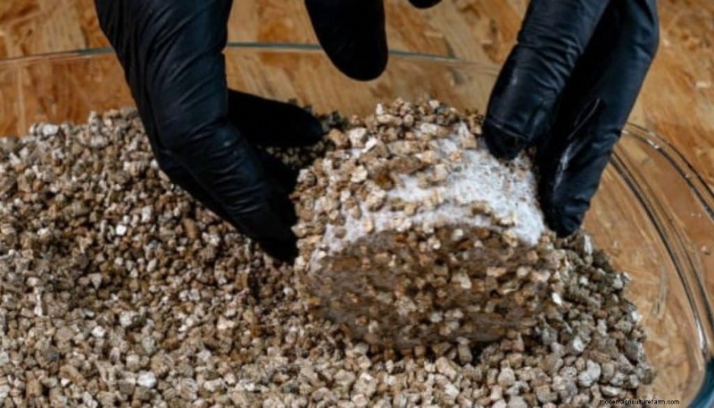 PF Tek:een beginnershandleiding voor het thuis kweken van paddenstoelen 