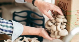 Pasteurización de sustrato de hongos:una guía para principiantes (5 métodos) 