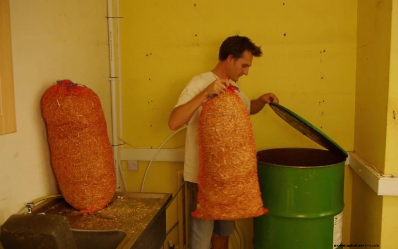 Pasteuriseren van champignonsubstraat:een beginnershandleiding (5 methoden) 