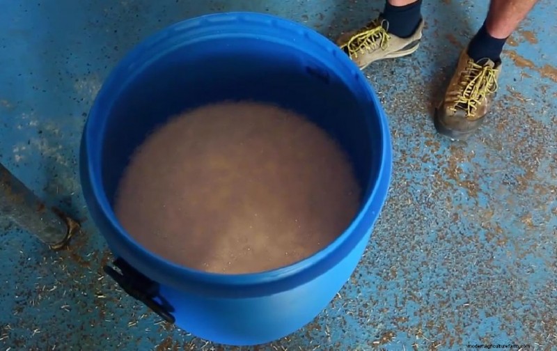 Pasteuriseren van champignonsubstraat:een beginnershandleiding (5 methoden) 