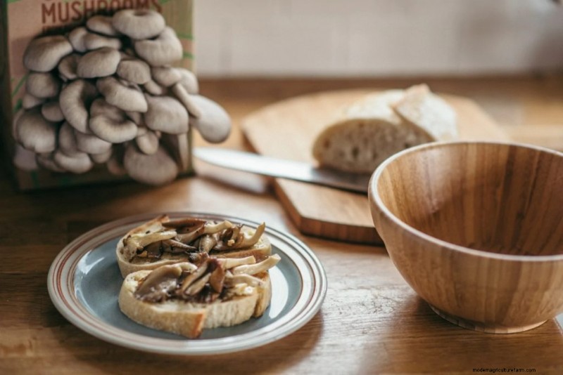 Kweek thuis gastronomische paddenstoelen:de ultieme kopersgids 