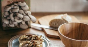 Cultive hongos gourmet en casa:la guía definitiva para el comprador 