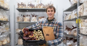 Een champignonbedrijf starten:essentiële inzichten van een ervaren teler 