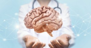 Funghi funzionali per ansia e depressione:le 5 migliori scelte 