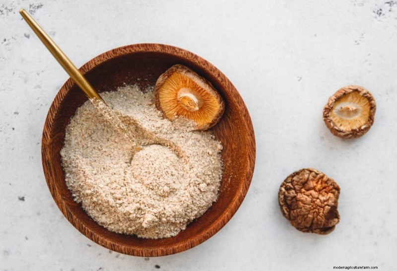 Integratori di funghi:tinture, estratti, polveri e capsule:cosa è meglio? 