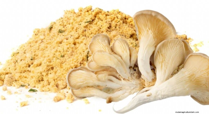Hongos en polvo:beneficios, usos y recetas:una guía completa 