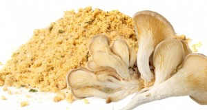 Hongos en polvo:beneficios, usos y recetas:una guía completa 